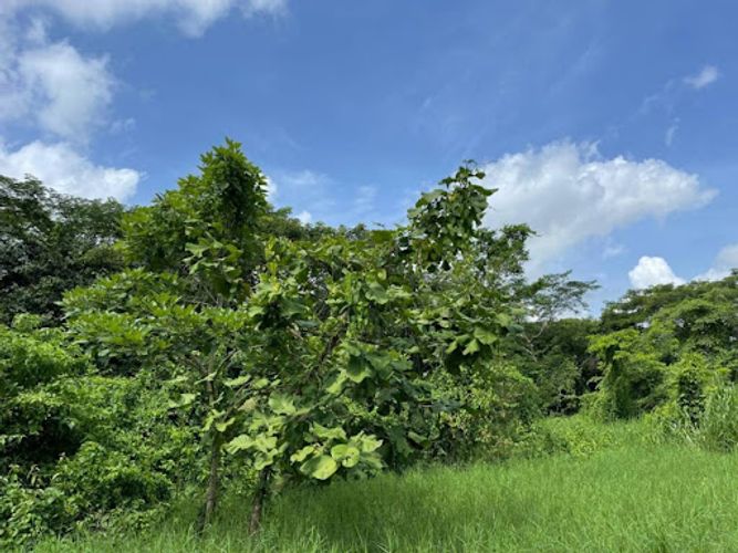 Lote en venta en Cartagena De Indias, Cartagena, 3270 m² · foto 13 de 14