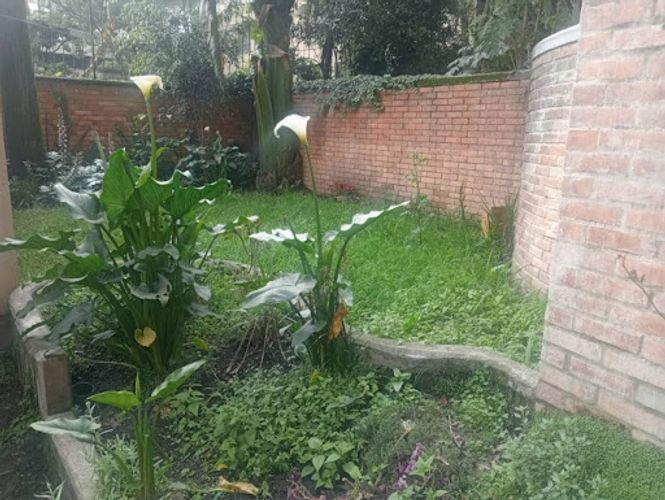 Apartamento de 3 alcobas en venta en El Retiro, Bogotá, 242 m² · foto 4 de 24