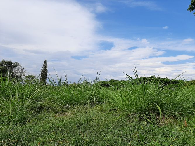 Lote en venta en La Riverita, Cali, 1820 m² · foto 2 de 3
