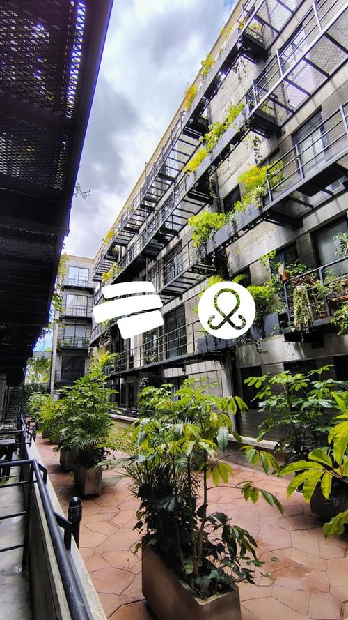 Apartamento de 3 alcobas en venta en La Milagrosa, La Ceja, 65 m² · foto 12 de 20