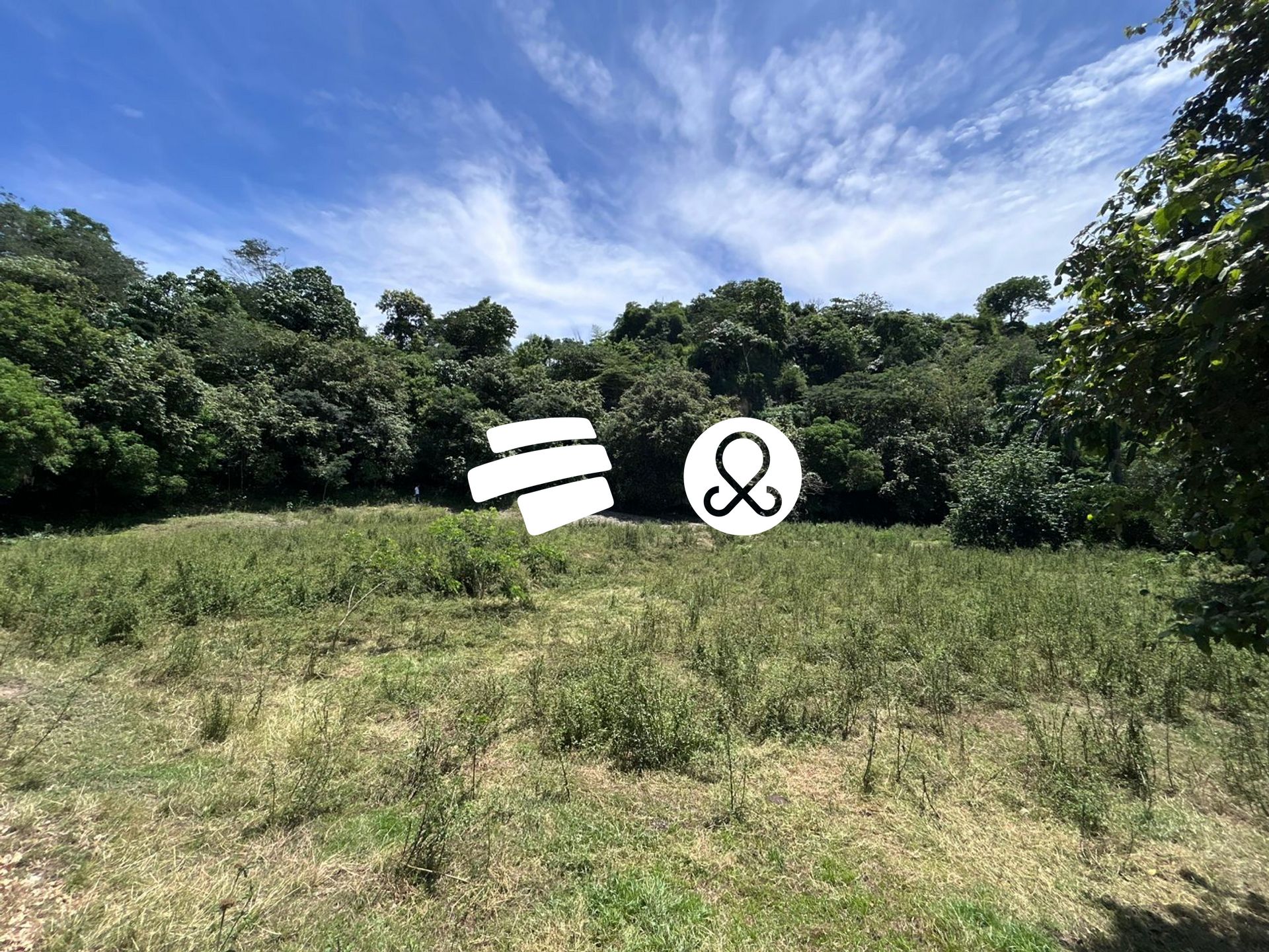 Land in Obregon for Sale