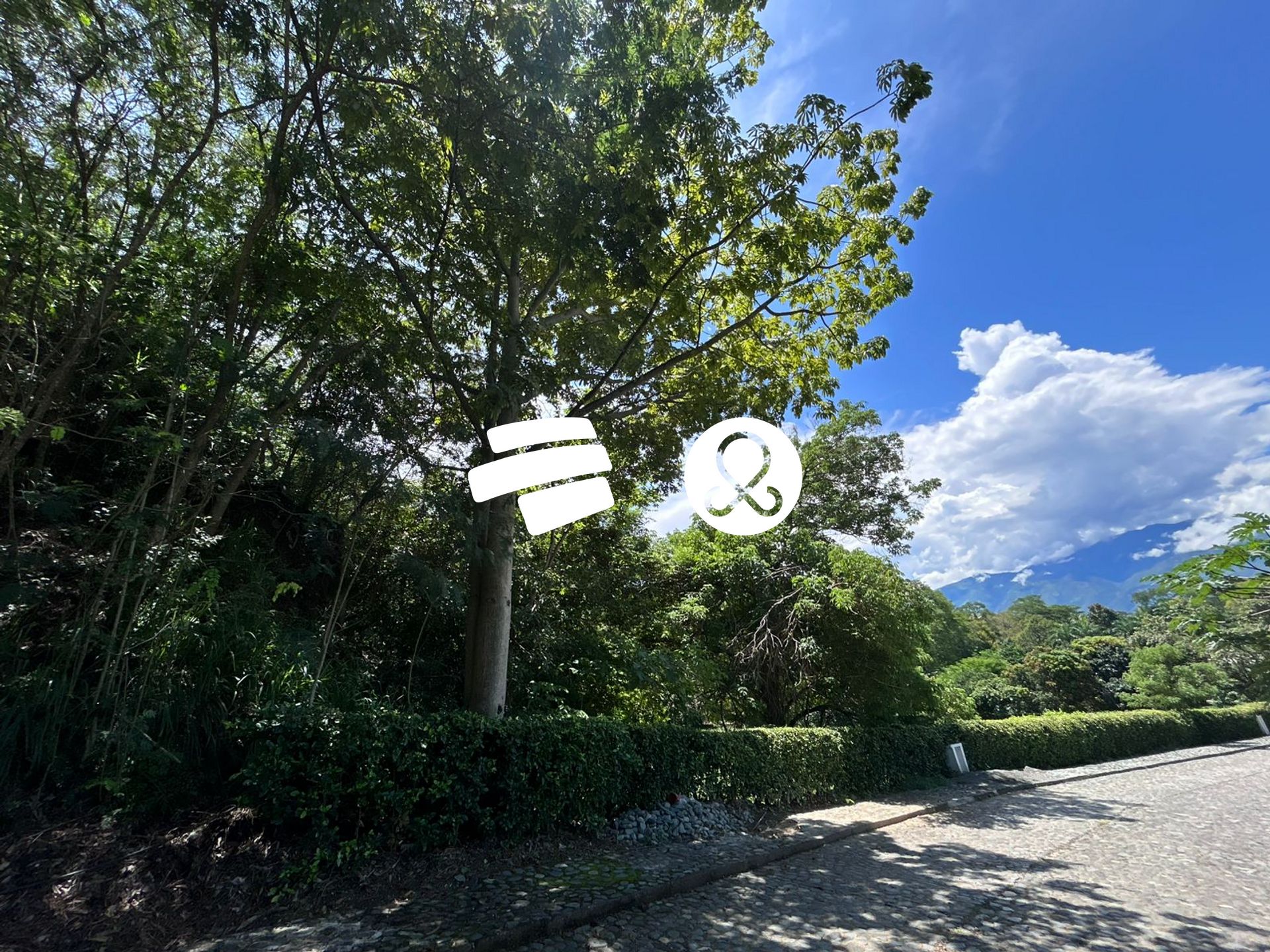 Land in Obregon for Sale - 3