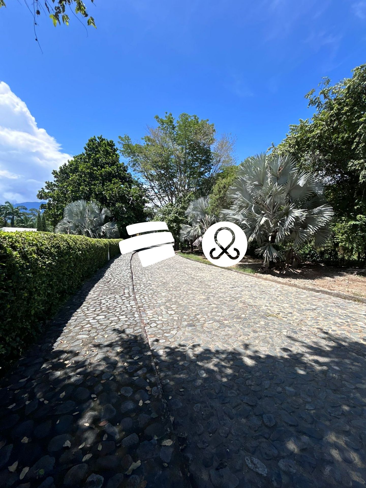 Land in Obregon for Sale - 4