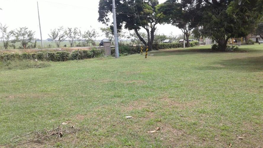 Finca en venta en Juanchito, Candelaria, 17600 m² · foto 3 de 20