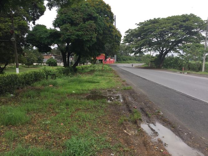 Finca en venta en Juanchito, Candelaria, 17600 m² · foto 4 de 20