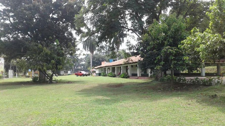 Finca en venta en Juanchito, Candelaria, 17600 m² · foto 7 de 20