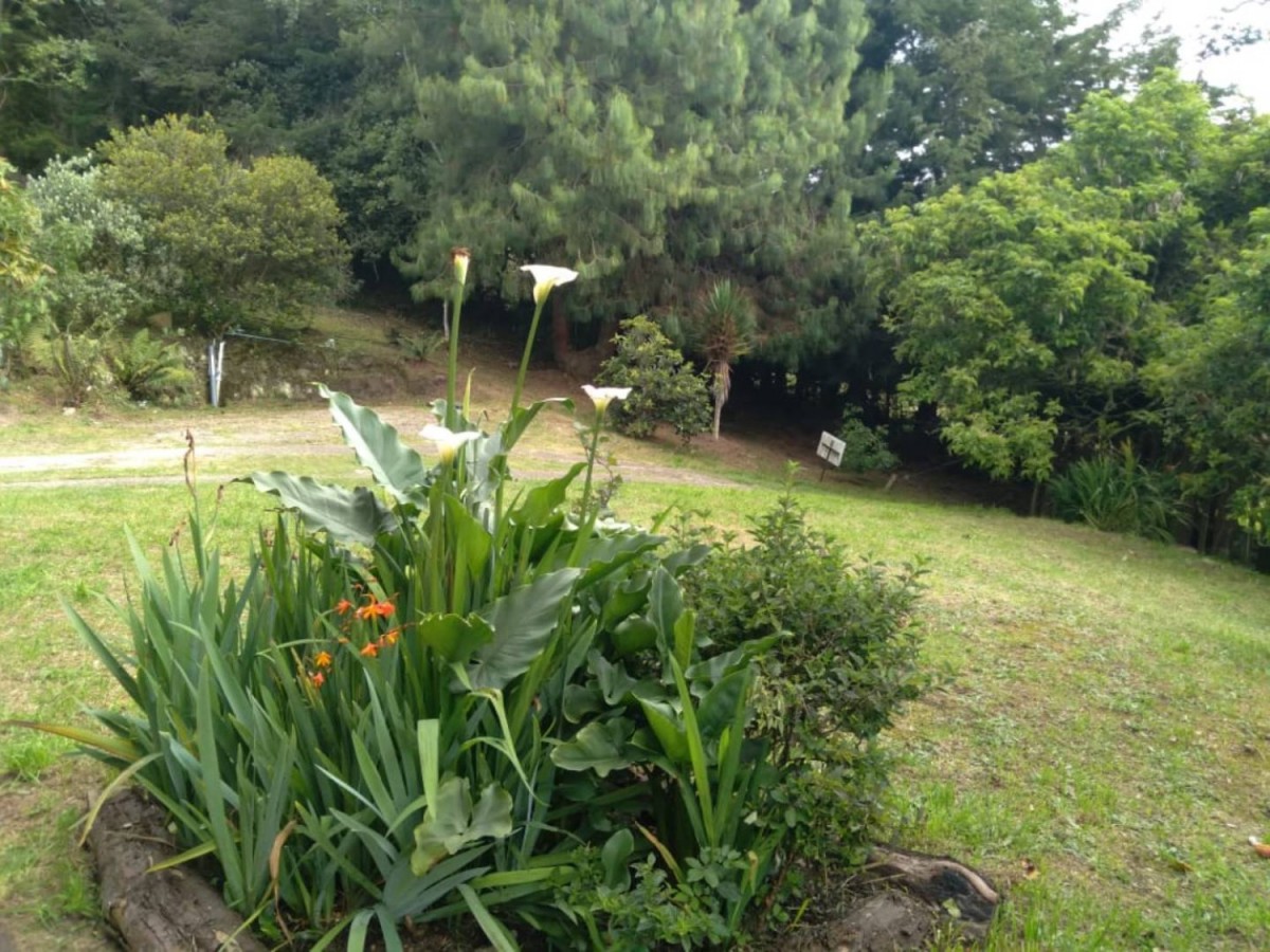 Casa en venta en San Rafael, La Calera · foto 19 de 24