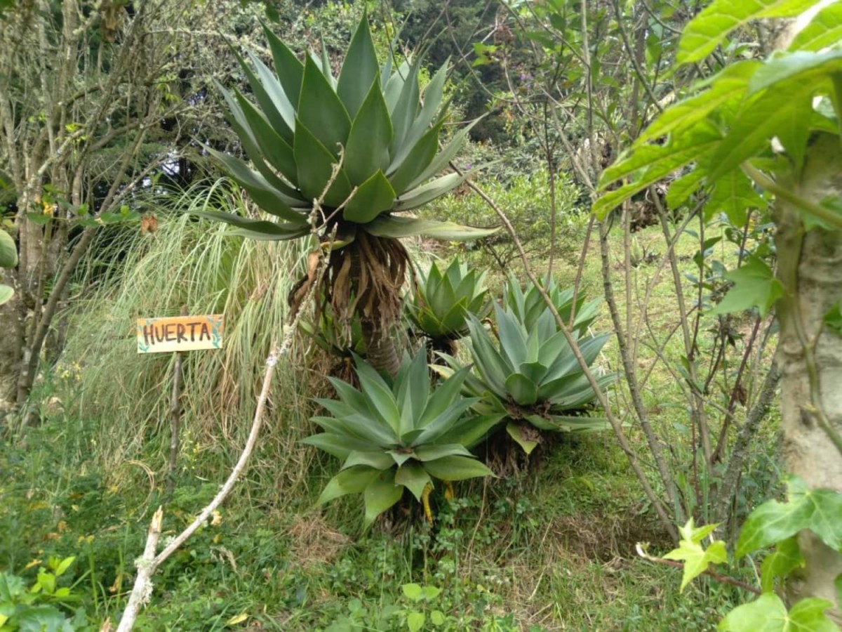 Casa en venta en San Rafael, La Calera · foto 21 de 24