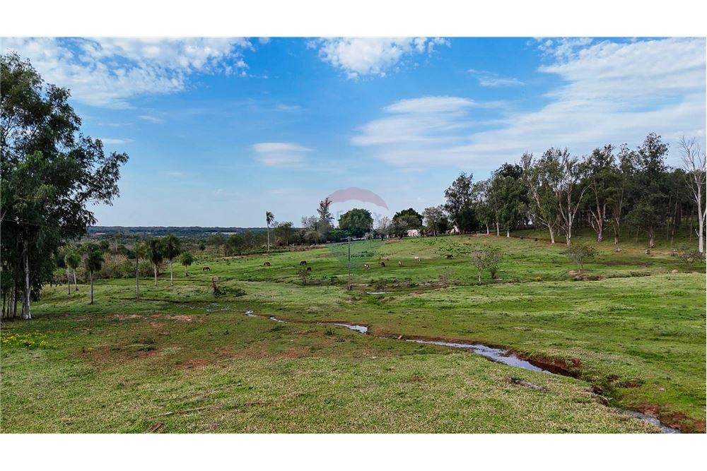 ESTANCIA CON 20.450.000 M2 DE TERRENO EN VENTA EN SAN PEDRO — foto 3