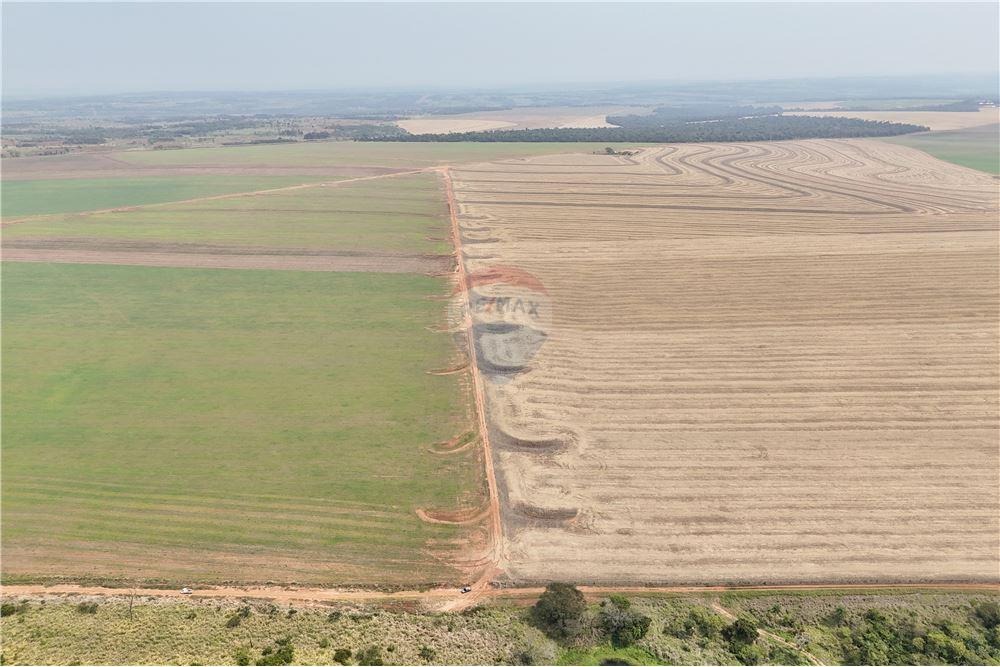 CAMPO TOTALMENTE MECANIZADO DE 10.300.000 M2 EN SAN PEDRO EN VENTA — foto 2