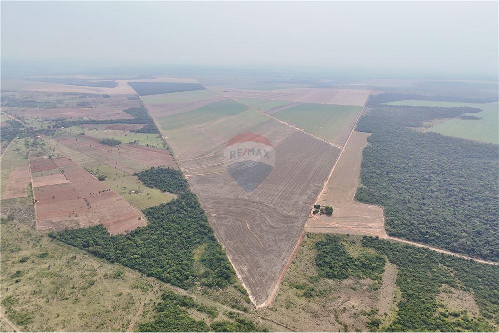 CAMPO TOTALMENTE MECANIZADO DE 10.300.000 M2 EN SAN PEDRO EN VENTA — foto 3