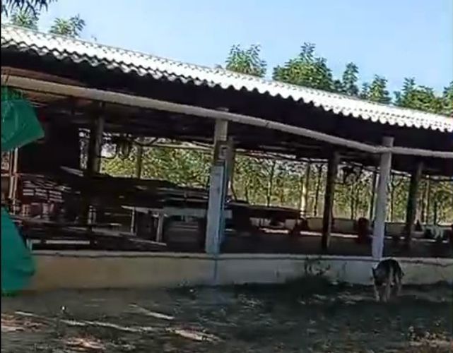 Finca en venta en Candelaria, 30000 m² · foto 8 de 13