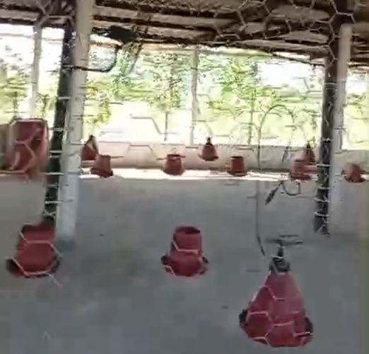 Finca en venta en Candelaria, 30000 m² · foto 10 de 13