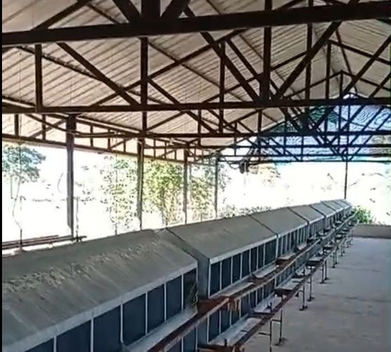 Finca en venta en Candelaria, 30000 m² · foto 11 de 13