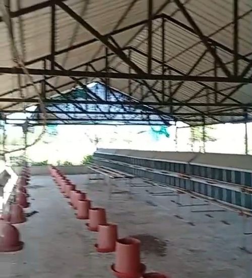 Finca en venta en Candelaria, 30000 m² · foto 7 de 13