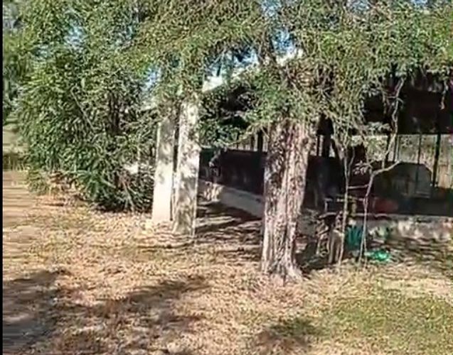 Finca en venta en Candelaria, 30000 m² · foto 9 de 13