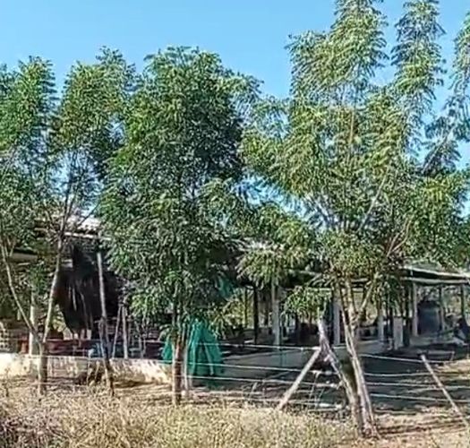 Finca en venta en Candelaria, 30000 m² · foto 12 de 13