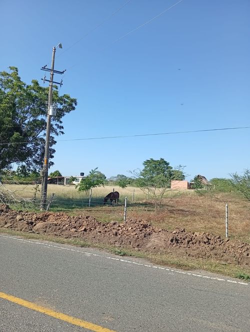 Finca en venta en Candelaria, 30000 m² · foto 13 de 13