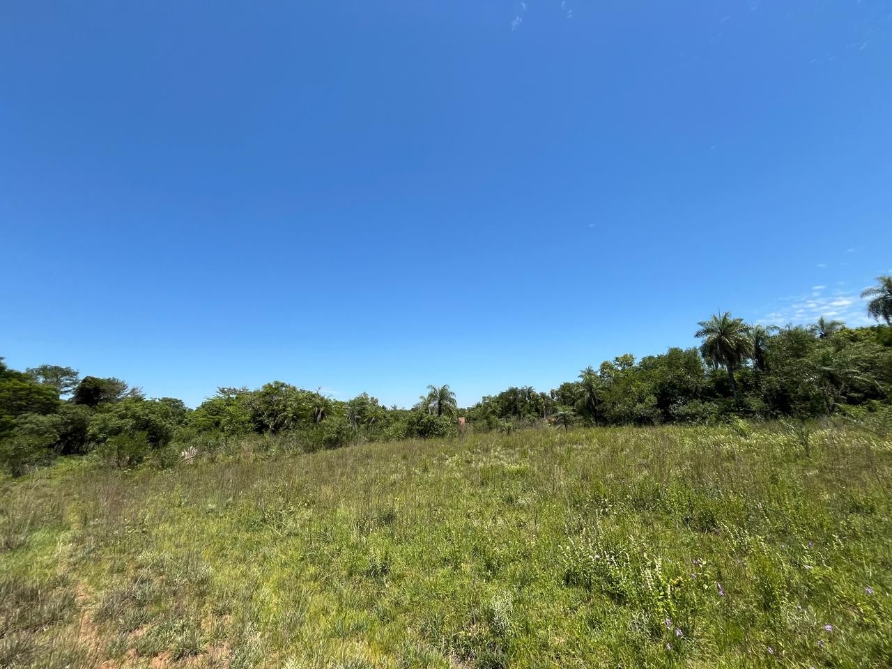 Terreno en venta en San Bernardino — foto 2