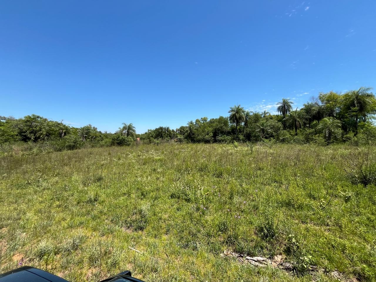 Terreno en venta en San Bernardino — foto 3