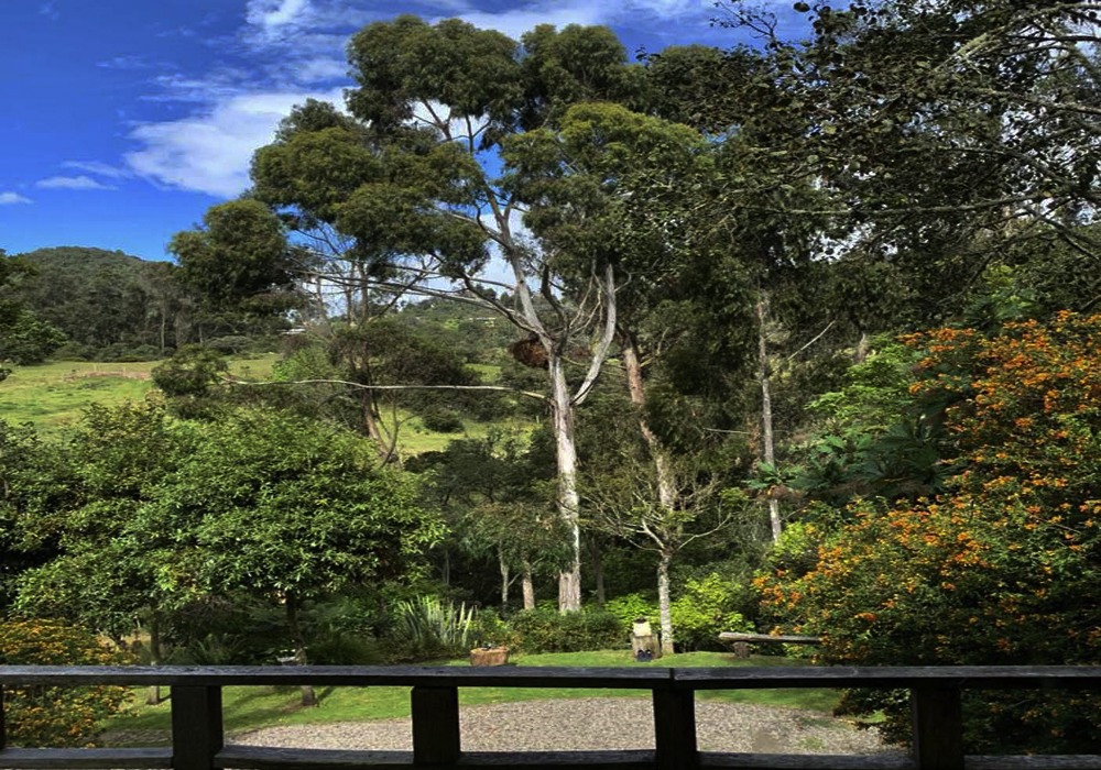 Casa en venta en El Salitre, La Calera · foto 20 de 22