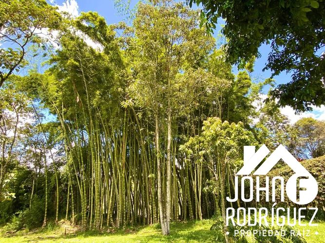 Lote en venta en Quirama, El Carmen de Viboral, 2300 m² · foto 11 de 12