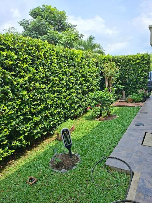 Casa de 3 alcobas en venta en Alfaguara, Jamundí, 210 m² · foto 18 de 23
