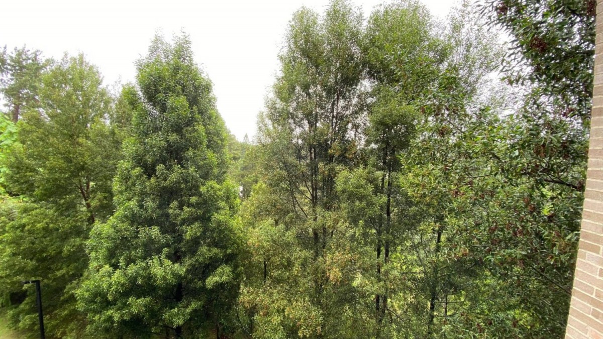Apartamento en venta en Las Palmas, Envigado · foto 3 de 18