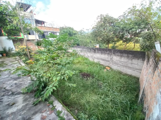 Bodega en venta en Ub. El Prado Et. Ii, Ibagué, 250 m² · foto 15 de 15