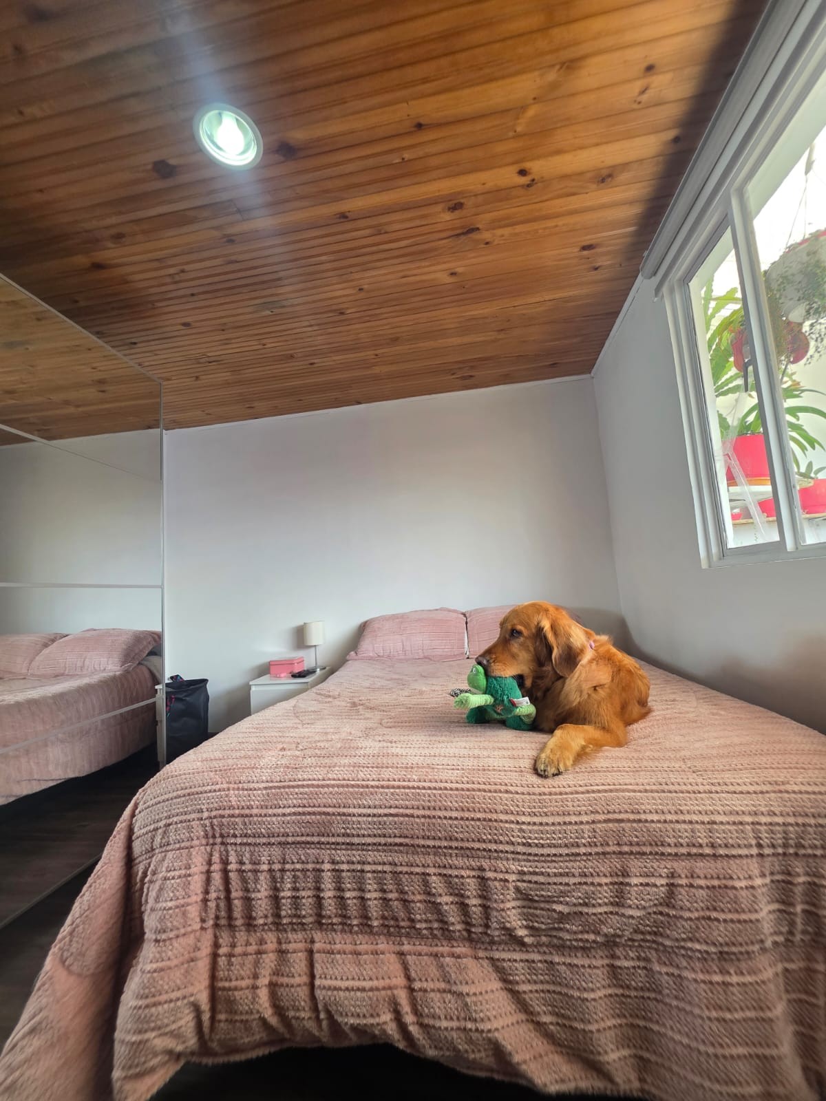 Casa en venta en Engativá, Bogotá · foto 14 de 24