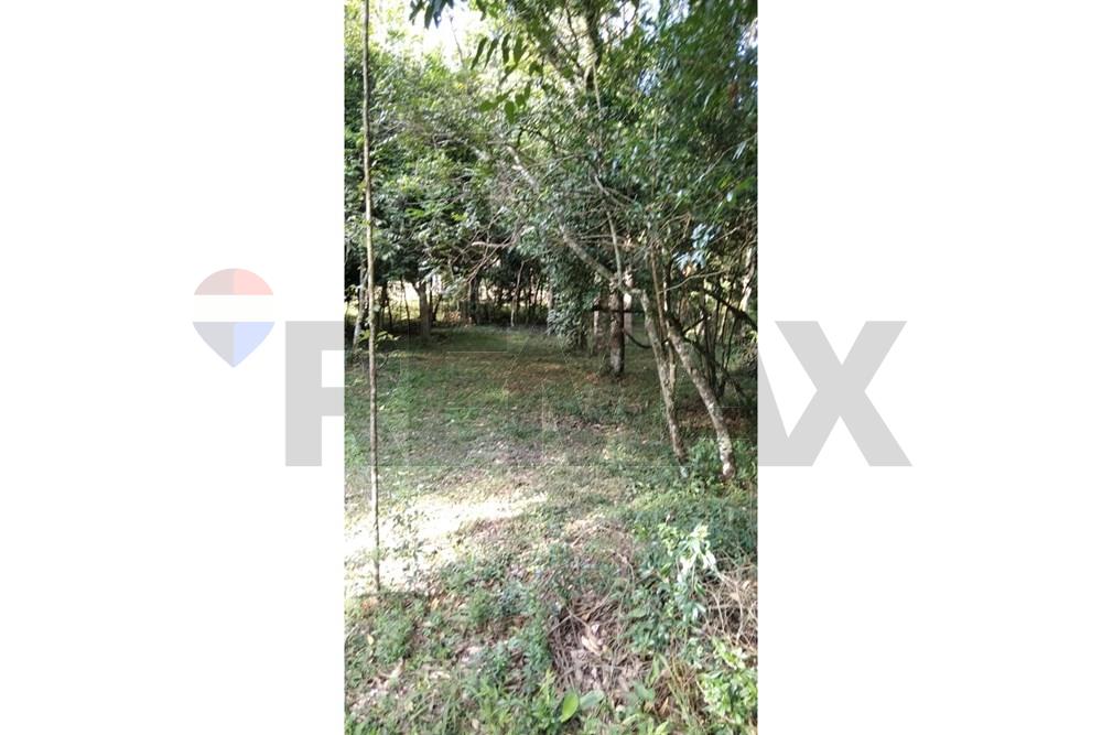 60.000 M2 DE TERRENO EN ITACURUBI DE LA CORDILLERA EN VENTA — foto 3