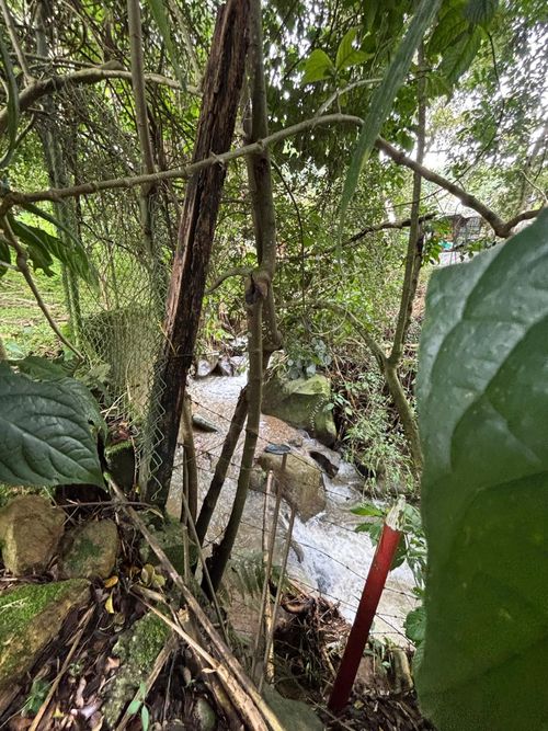 Finca en arriendo en Vallano, Envigado, 400 m² · foto 23 de 24