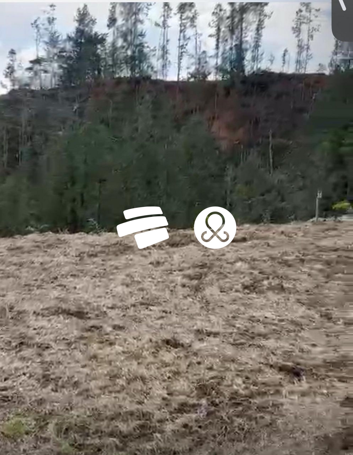 Land in Lejos del nido (2378 m²) for Sale - 2