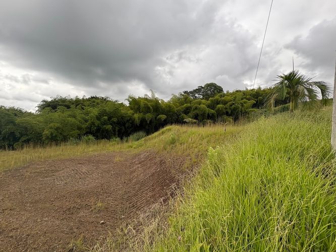 Lote en venta en Condina, Pereira, 2359 m² · foto 4 de 10