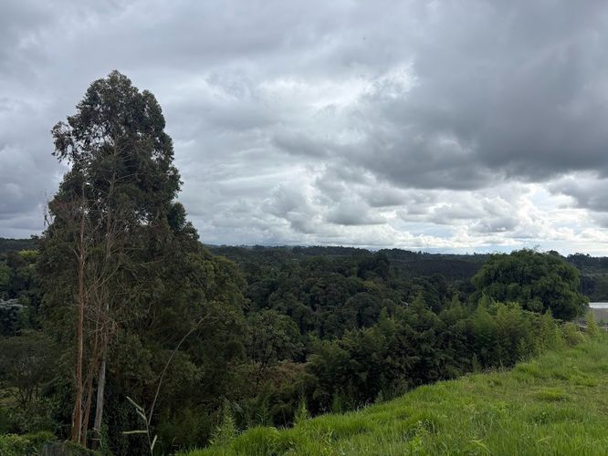Lote en venta en Condina, Pereira, 2359 m² · foto 3 de 10