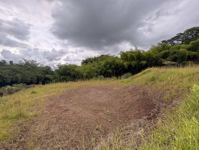 Lote en venta en Condina, Pereira, 2359 m² · foto 7 de 10
