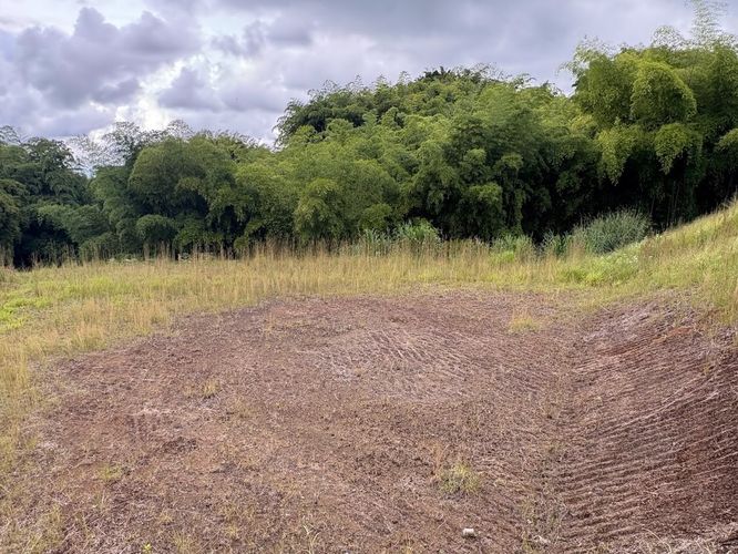 Lote en venta en Condina, Pereira, 2359 m² · foto 9 de 10