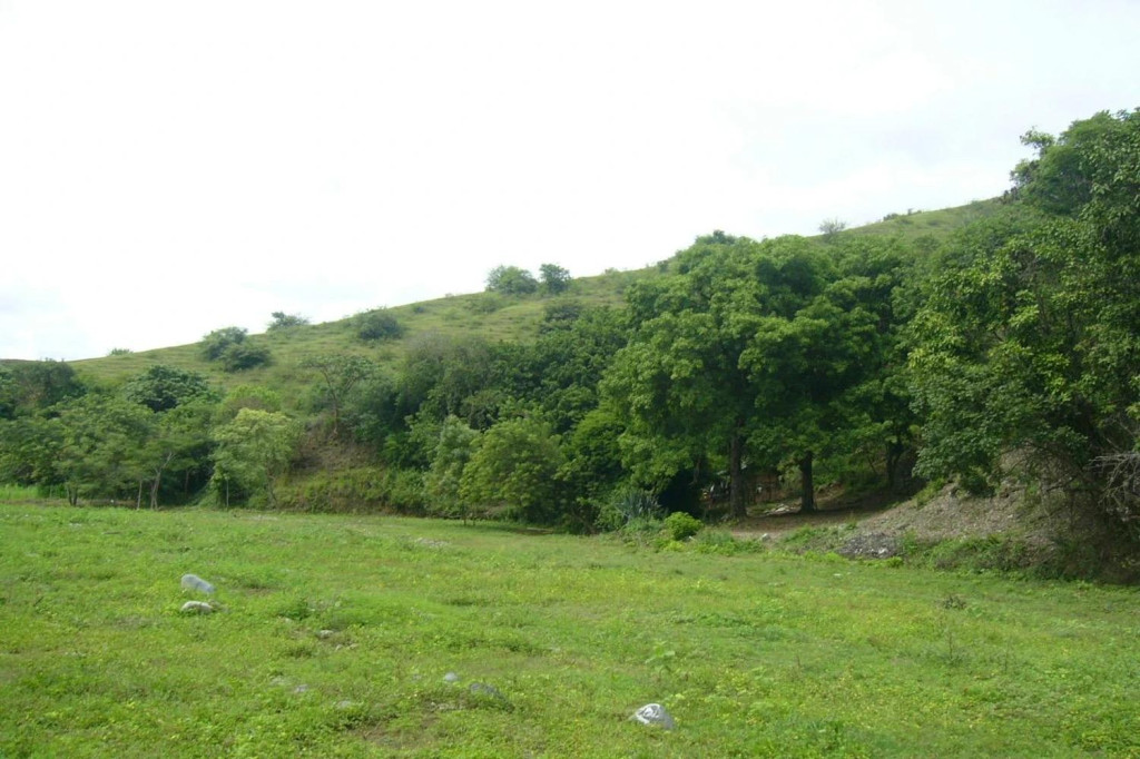 Land in Santafe de antioquia for Sale