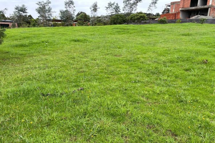 Lote en venta en Alcala, Envigado, 2780 m² · foto 5 de 12