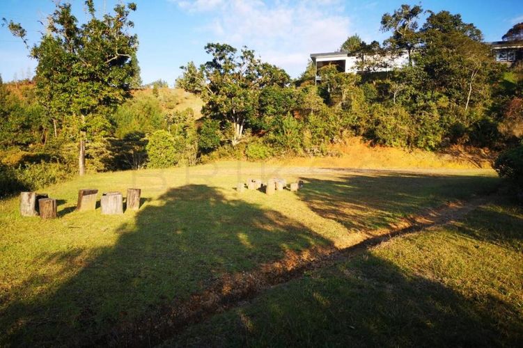 Lote en venta en Carrizales, El Retiro, 8500 m² · foto 4 de 24