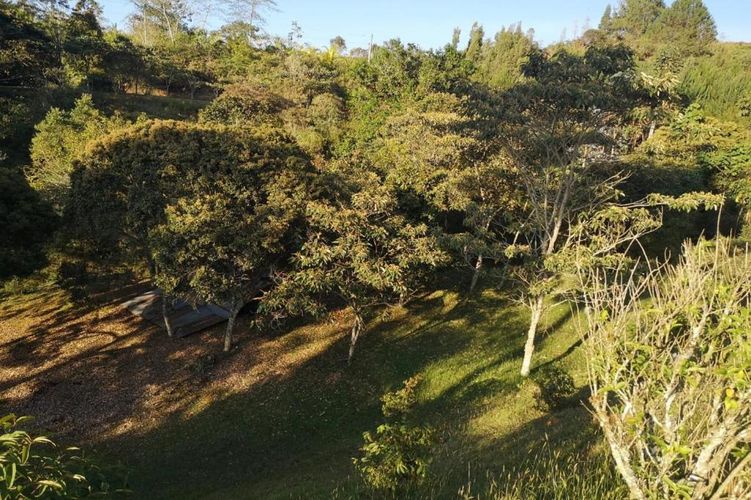Lote en venta en Carrizales, El Retiro, 8500 m² · foto 5 de 24