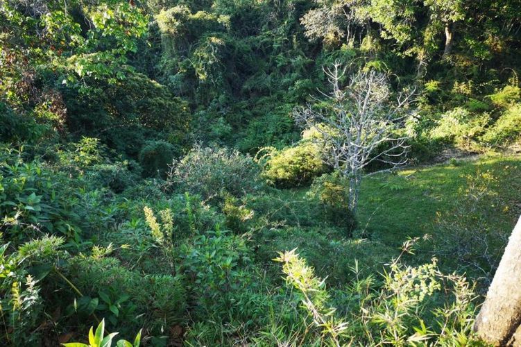 Lote en venta en Carrizales, El Retiro, 8500 m² · foto 6 de 24