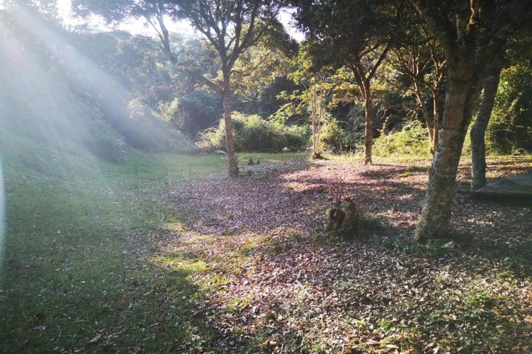 Lote en venta en Carrizales, El Retiro, 8500 m² · foto 7 de 24