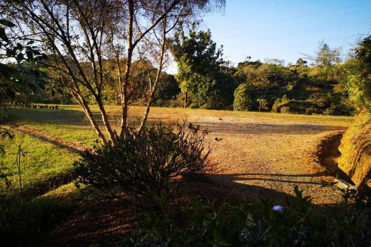 Lote en venta en Carrizales, El Retiro, 8500 m² · foto 8 de 24