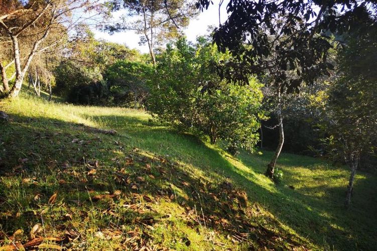 Lote en venta en Carrizales, El Retiro, 8500 m² · foto 10 de 24