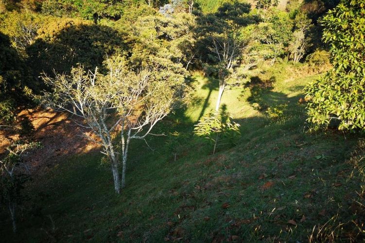 Lote en venta en Carrizales, El Retiro, 8500 m² · foto 11 de 24