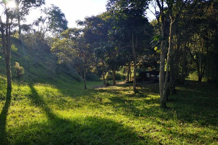 Lote en venta en Carrizales, El Retiro, 8500 m² · foto 12 de 24