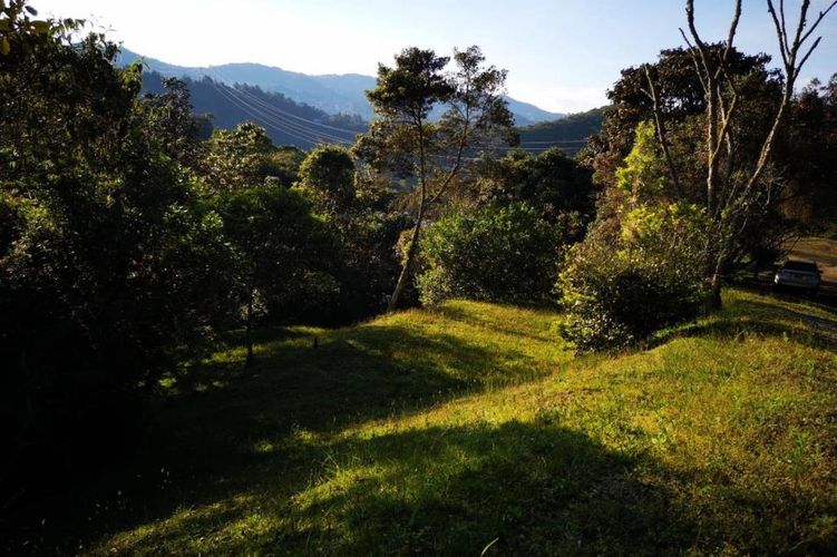 Lote en venta en Carrizales, El Retiro, 8500 m² · foto 13 de 24