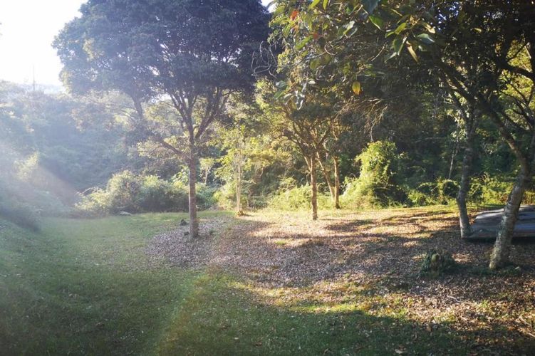 Lote en venta en Carrizales, El Retiro, 8500 m² · foto 14 de 24