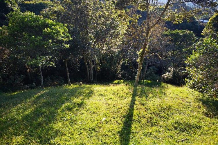 Lote en venta en Carrizales, El Retiro, 8500 m² · foto 15 de 24